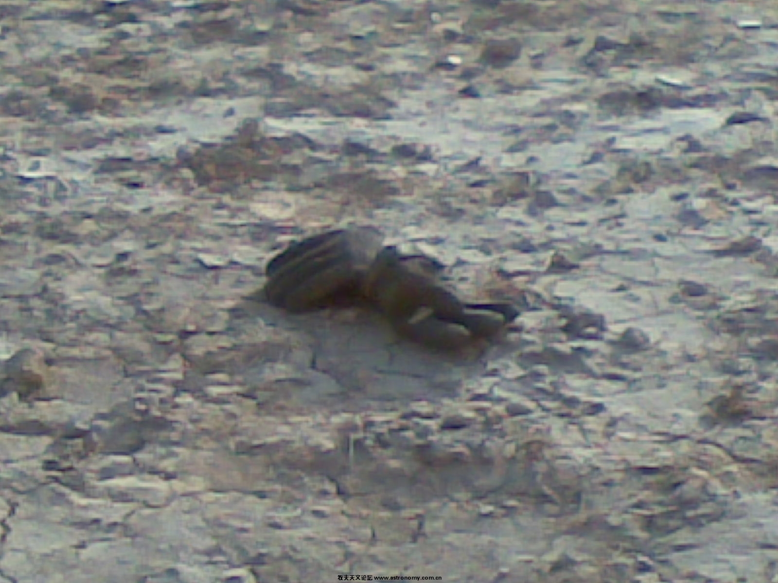 20100127_006.jpg