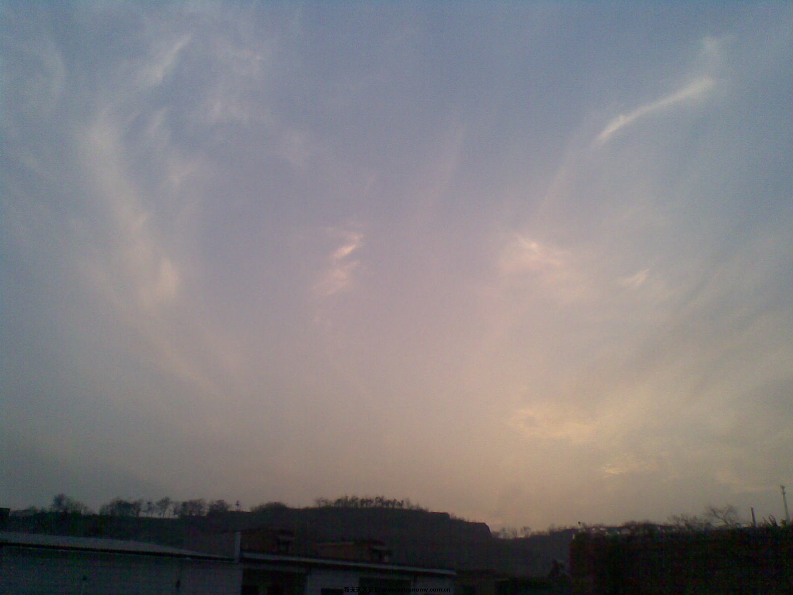 20100128_004.jpg