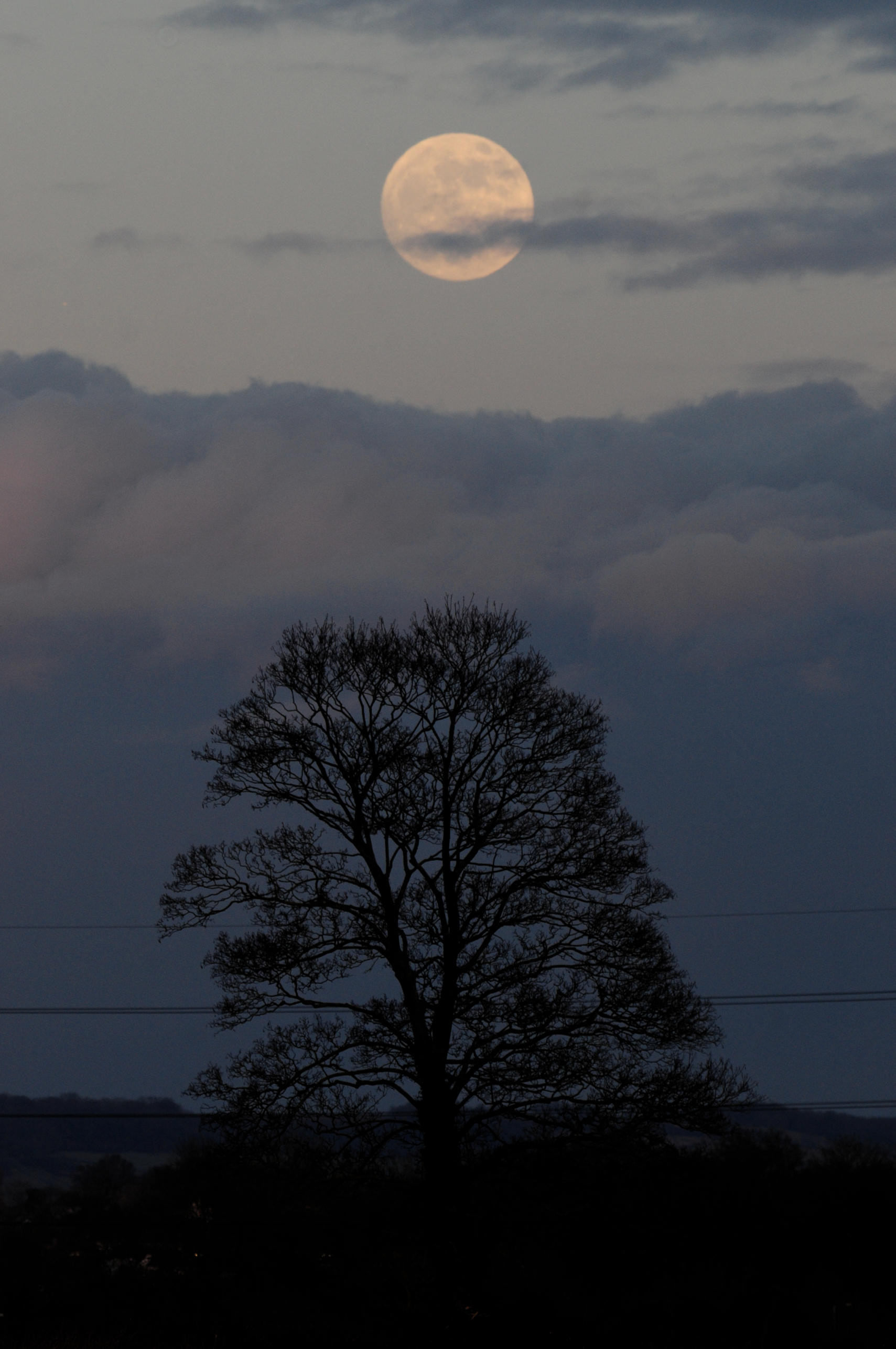 Andy-Burns-Big-Moon-02_1264835143.jpg