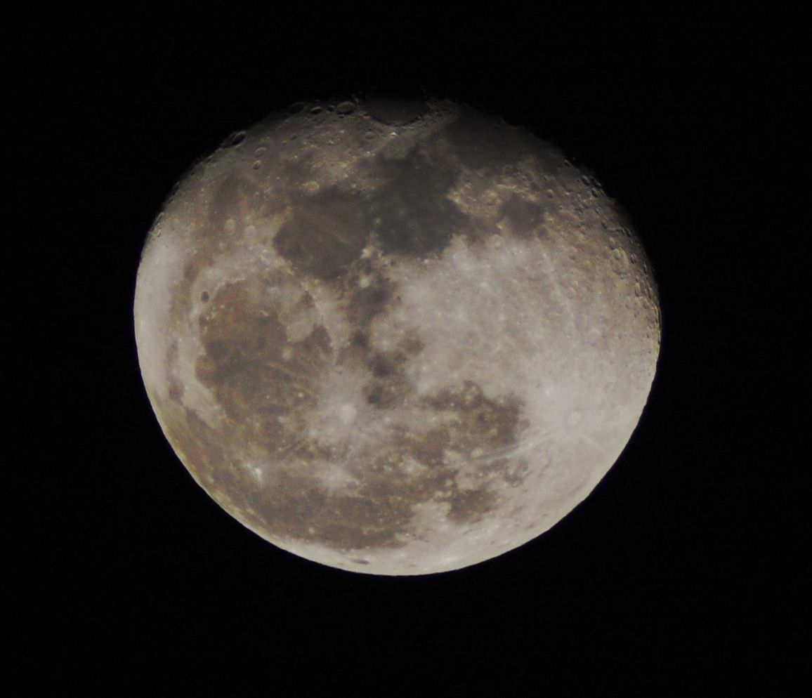 DSC_0091.jpg