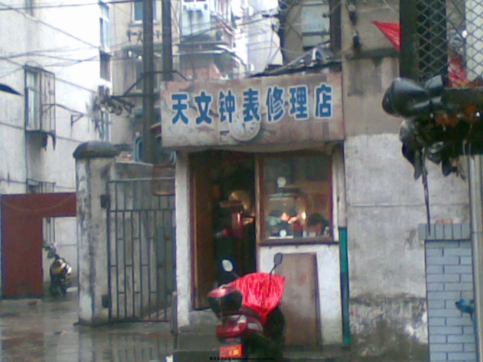 20100202(001).jpg