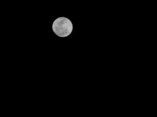 2010.1.30 moon.jpg