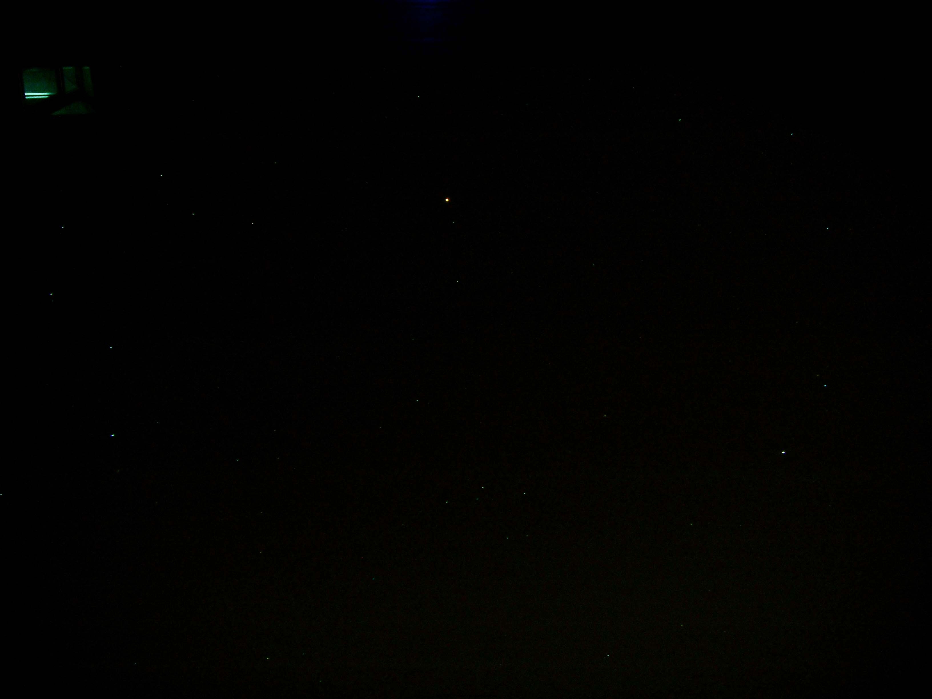 SDC12907.jpg