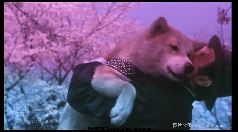 在雪地里最后做了一个梦！虽然在他的世界里色彩是那么的单一，但那真的是一个美梦啊！那是他十年来梦寐以求 ...
