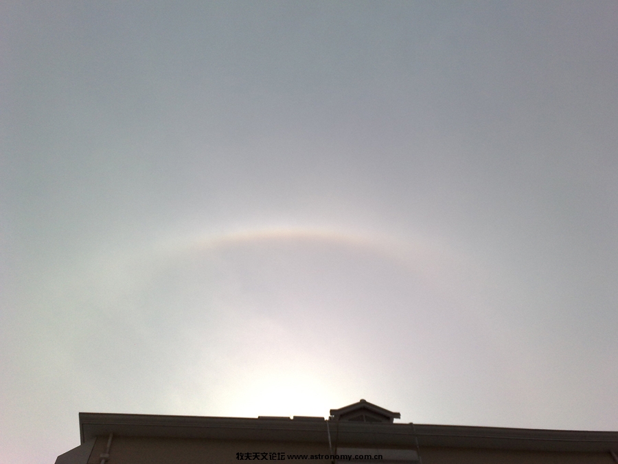 201002121428ss.jpg
