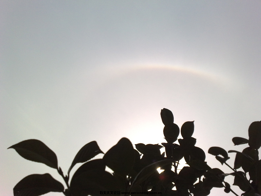 201002121433ss.jpg