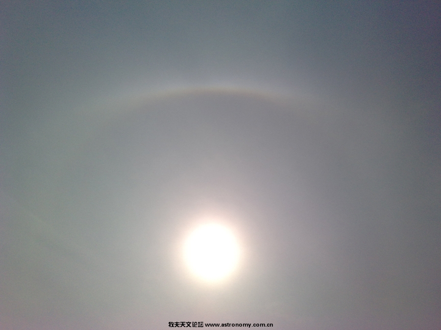 201002121431ss.jpg