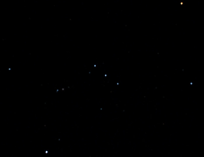 DSC_1009.JPG
