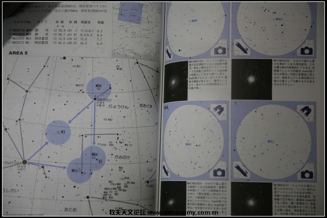 马拉松 041.jpg