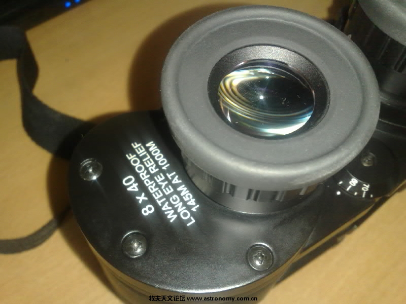 20100317846-001.jpg