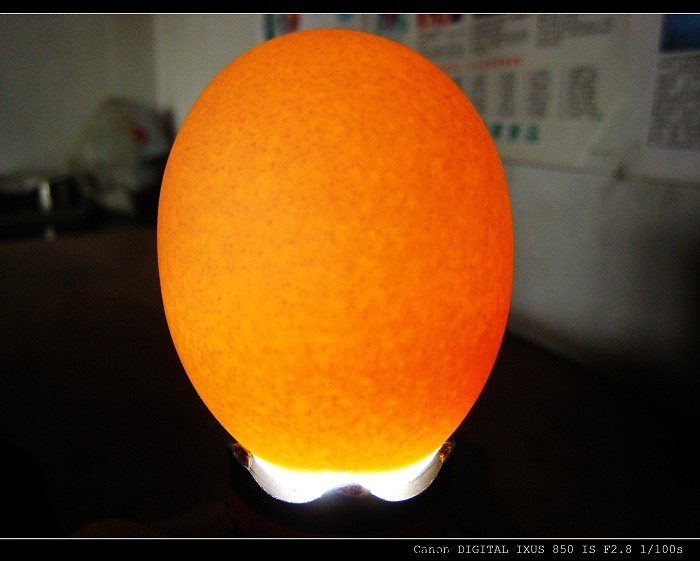 照片 030.jpg