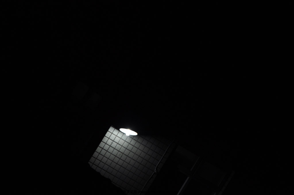 DSC_4198.JPG