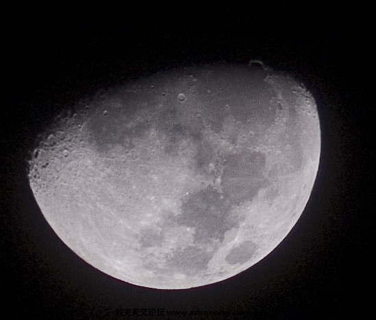 DSC_0008.jpg