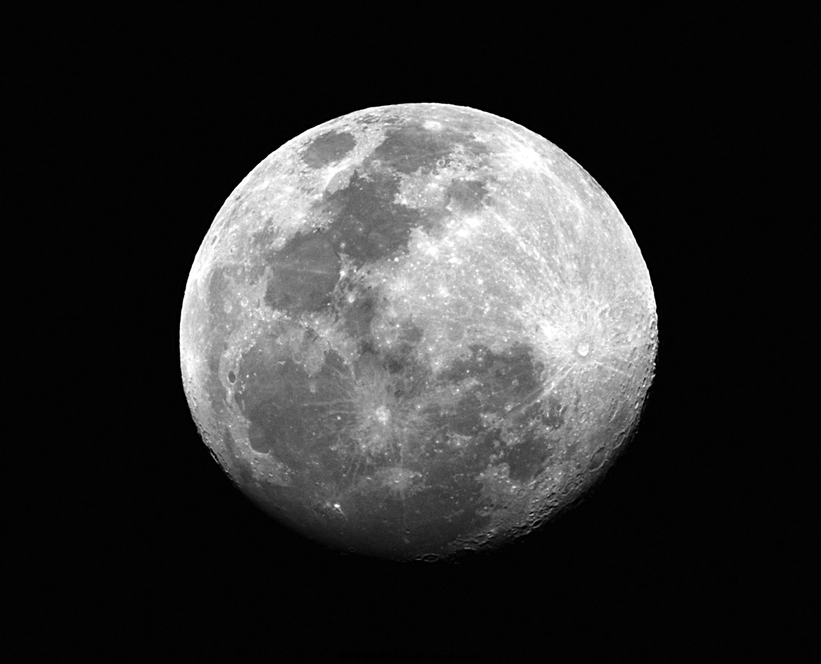 008.JPG