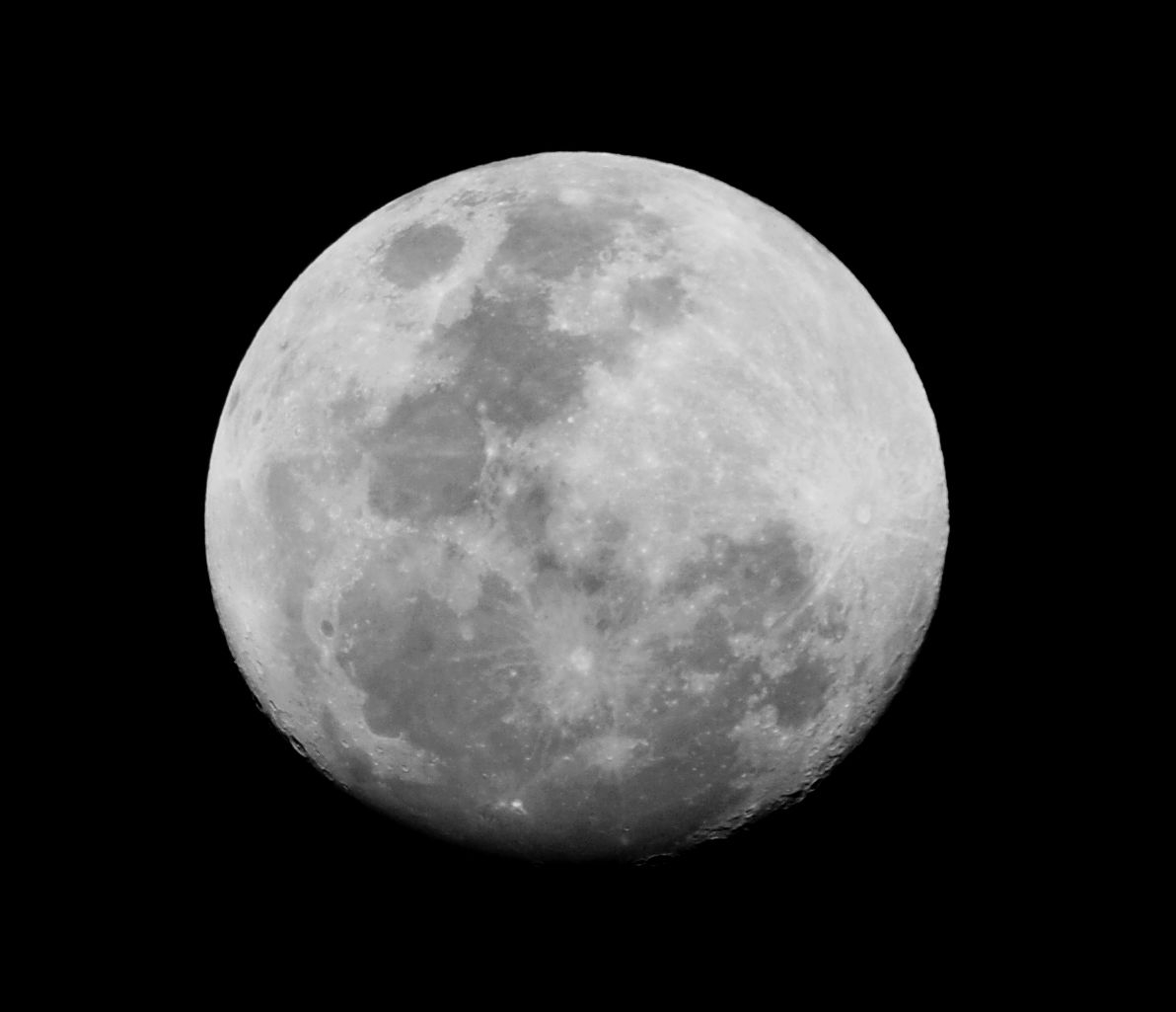 DSC_0062.jpg