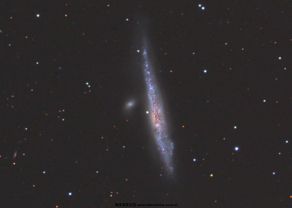 NGC4637 Whale Galaxy.jpg