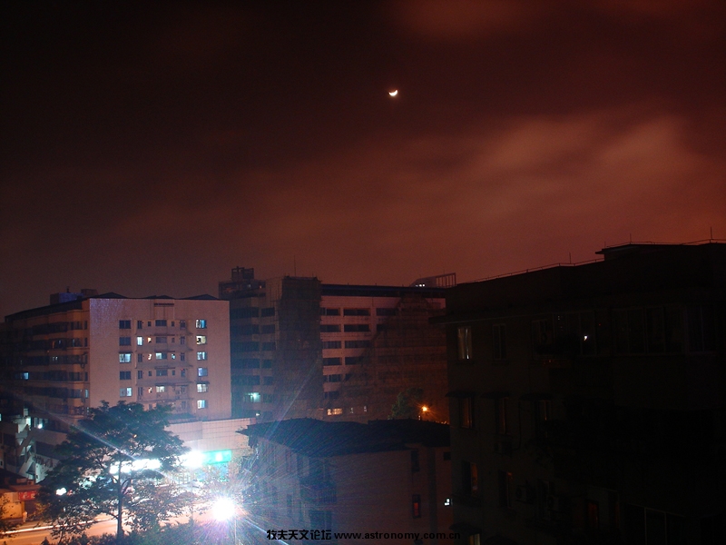 DSC05  772.jpg