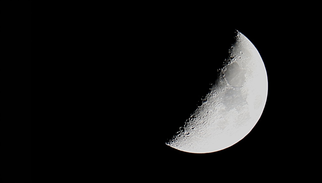 MVI_06015.jpg