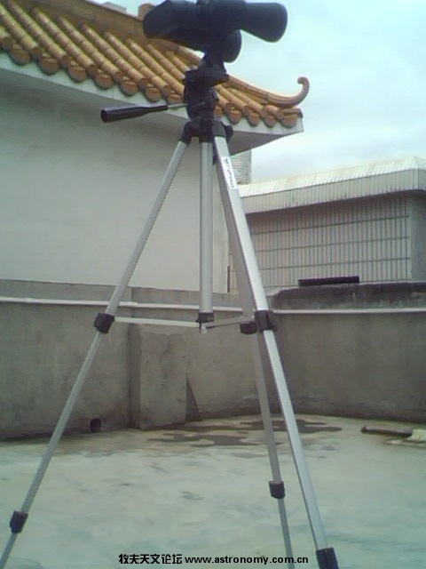 IMG2584A.jpg