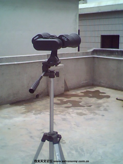 IMG2586A.jpg