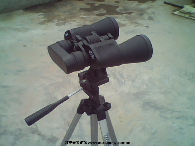 IMG2581A.jpg