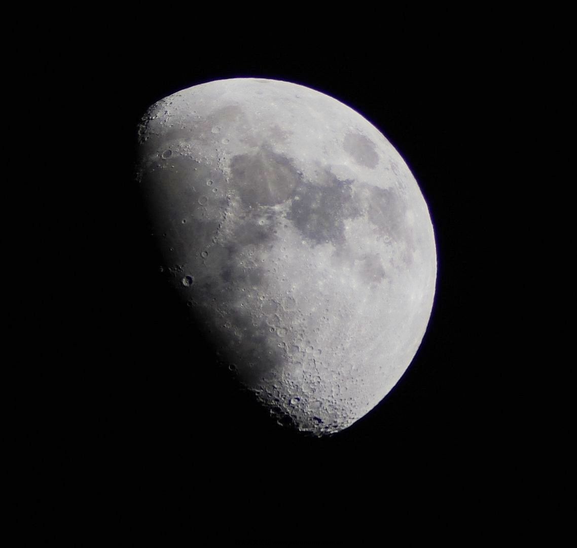 DSC_0291.jpg