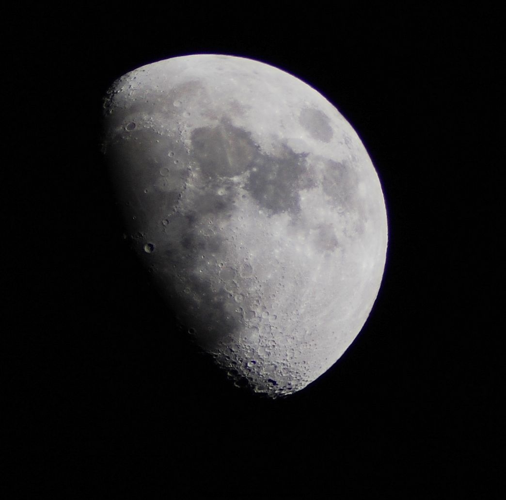 DSC_0295.jpg