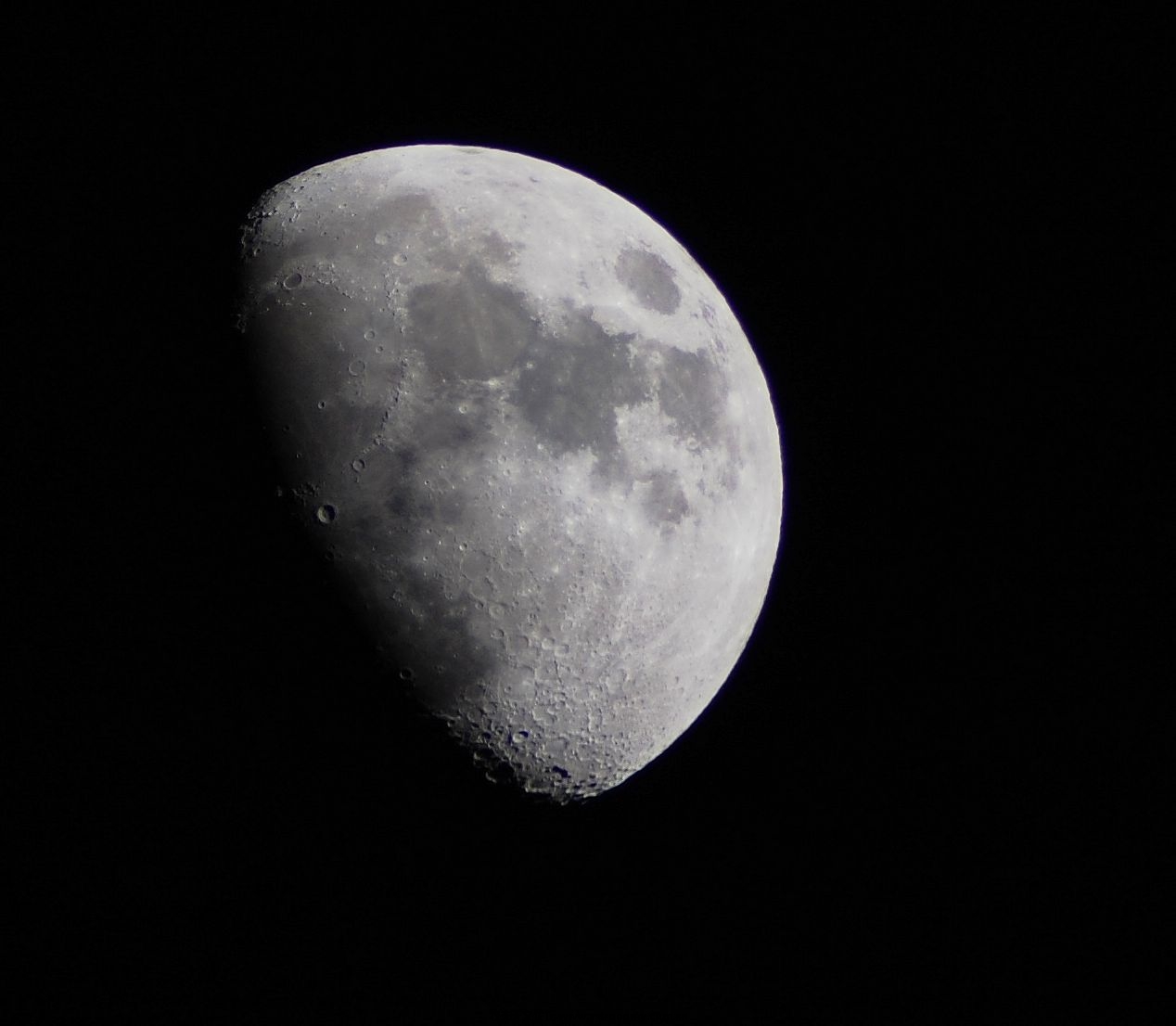 DSC_0294.jpg