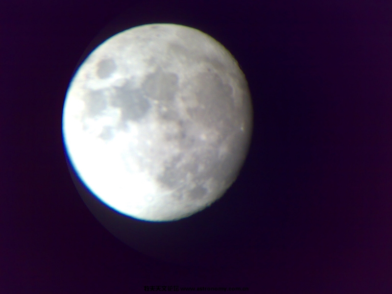 20100426169.jpg