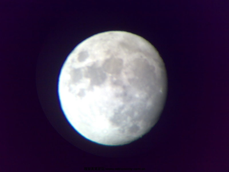20100426171.jpg