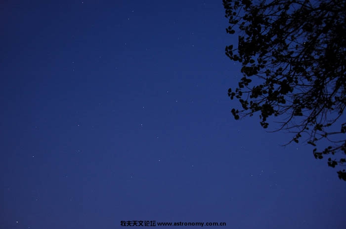 DSC_0904.jpg