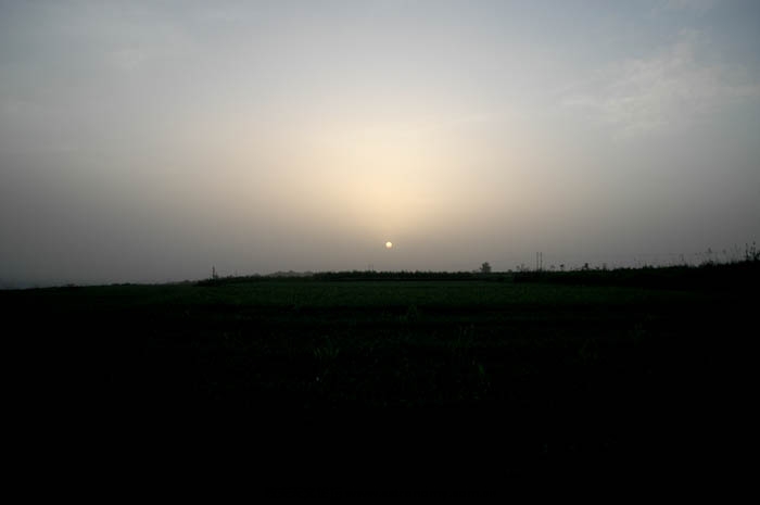 DSC_0819.jpg
