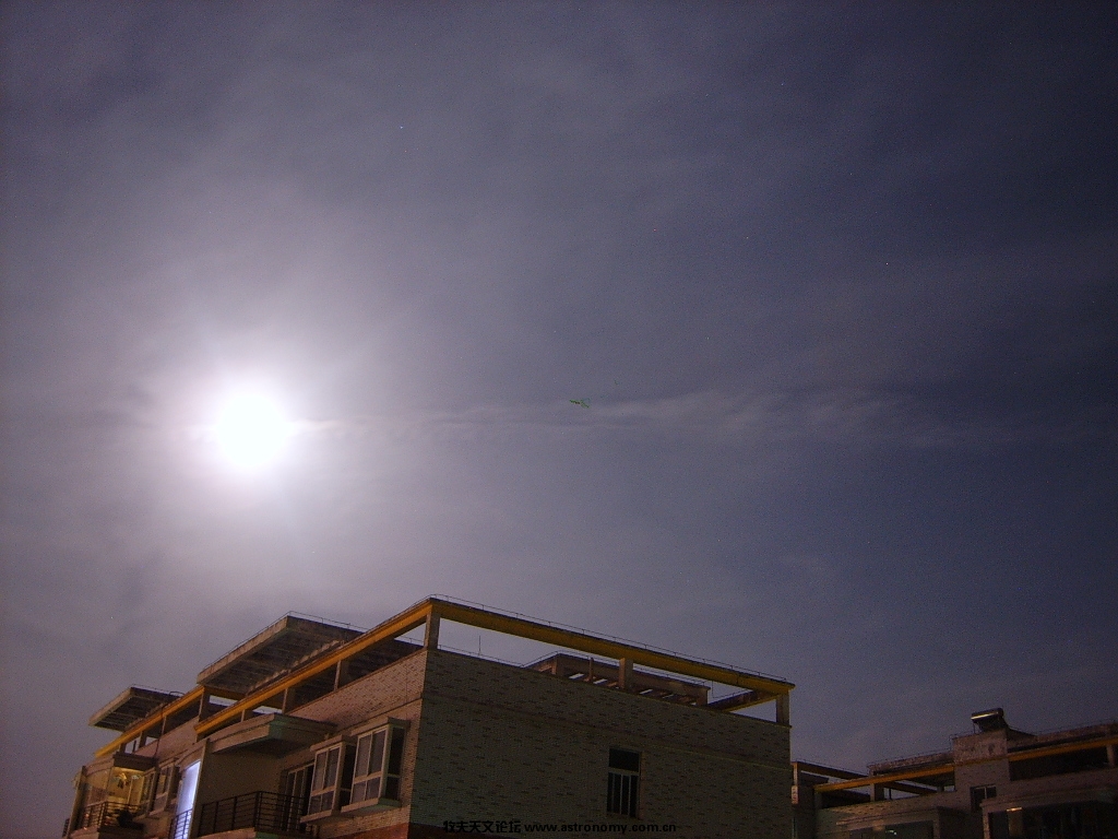 SUC58658.JPG