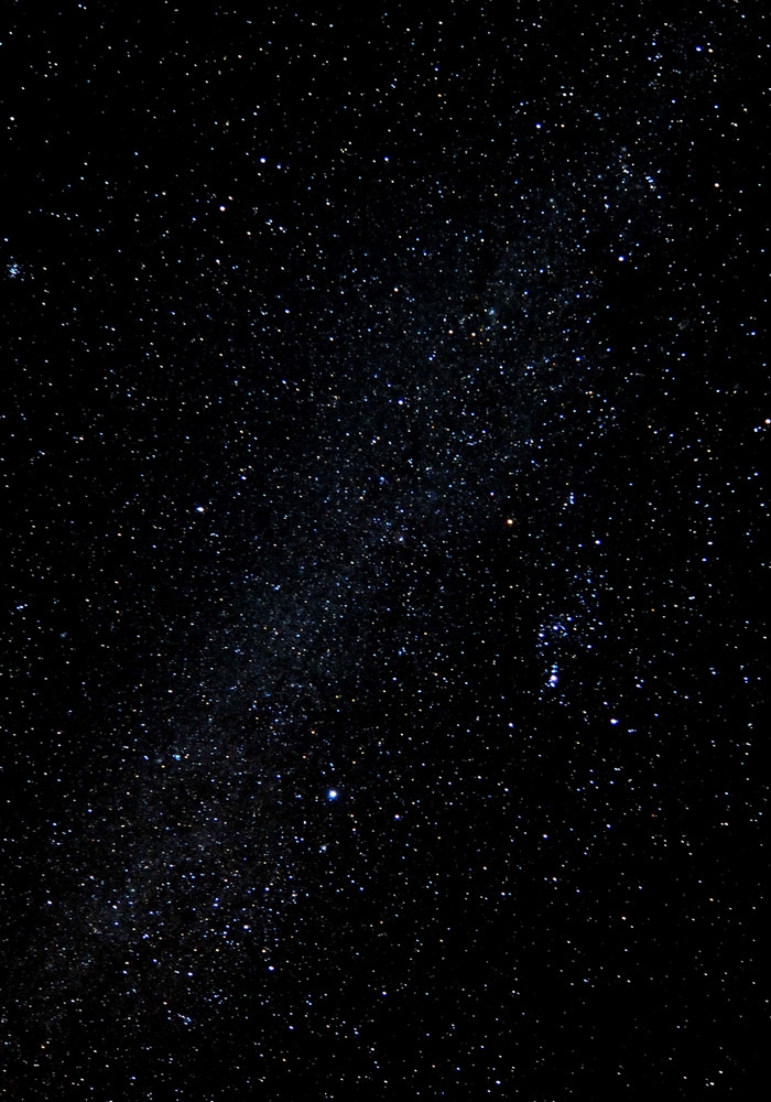 DSC_8637cjfzsj1020-ss.jpg