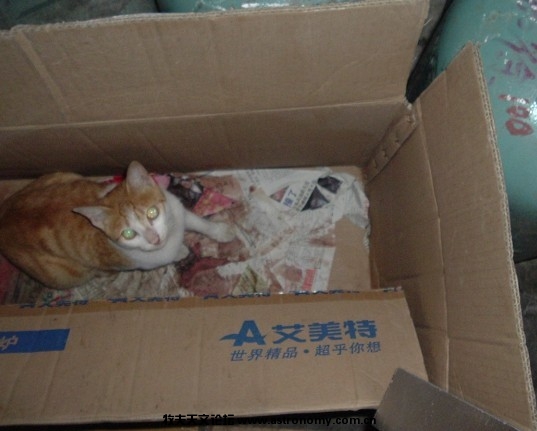 未命名8.jpg