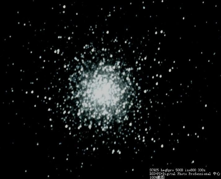 M13.jpg