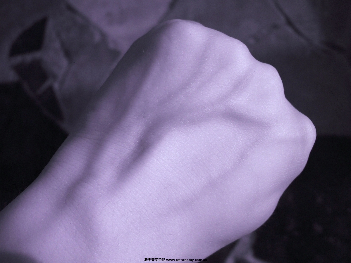 DSCF0211.jpg
