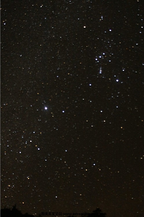 8AC91C85-CC53-4C7B-8A30-063DE0ED2696.jpg