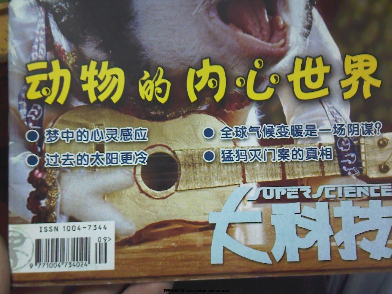 照片-0059.jpg