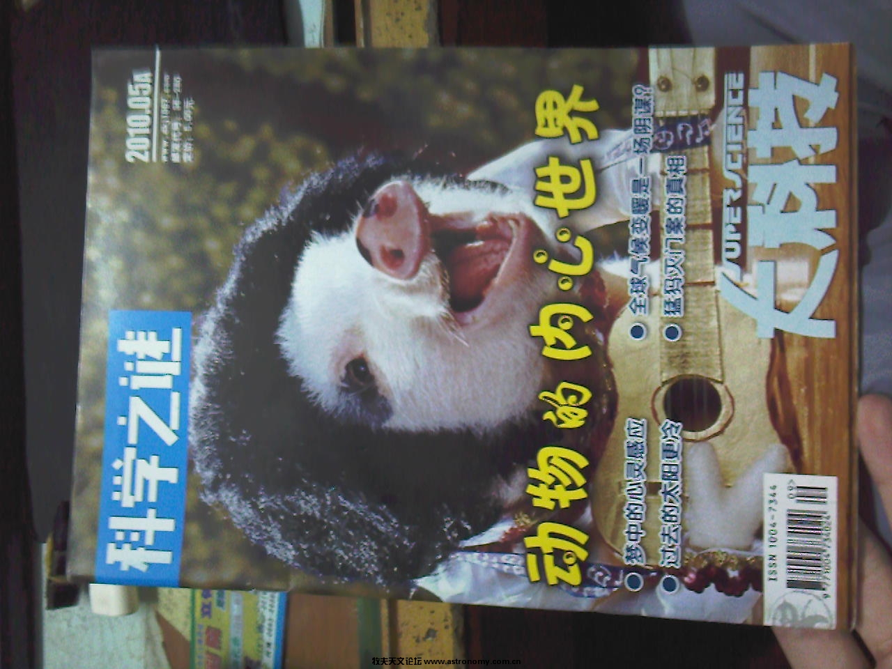 照片-0057.jpg