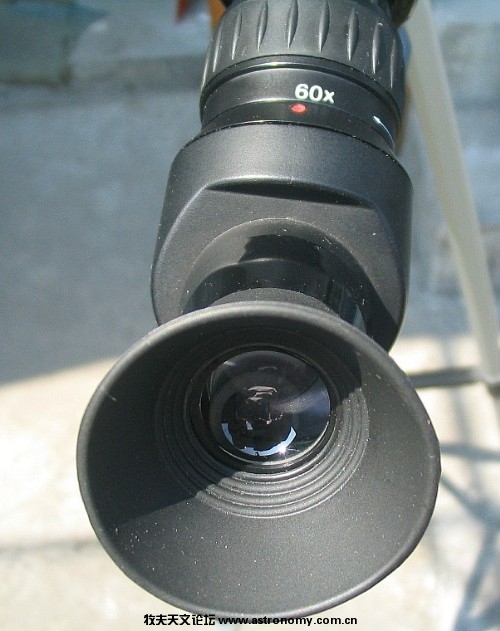 jh33.jpg