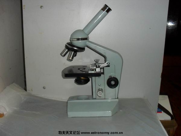SDC10093.JPG