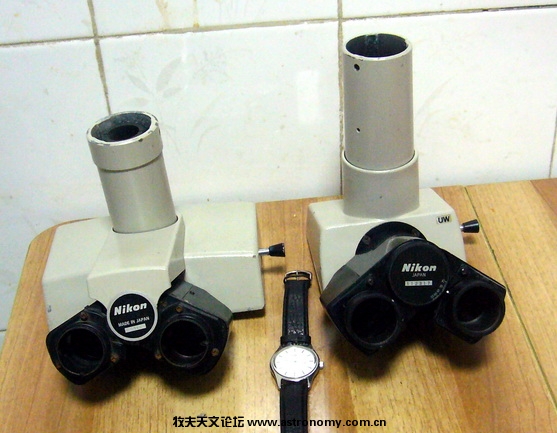 P1090533.jpg