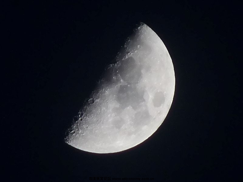 P1020540.jpg