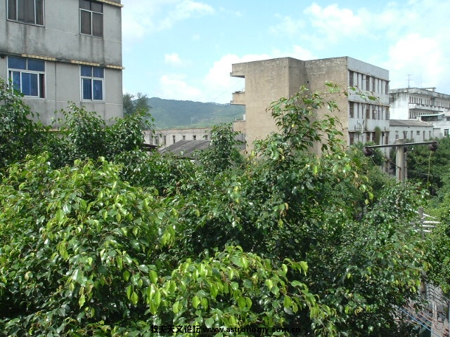 DSCF0501.JPG