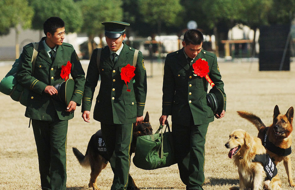 昔日的警犬“战友”为他们送行.jpg