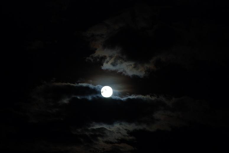 DSC_0142.JPG