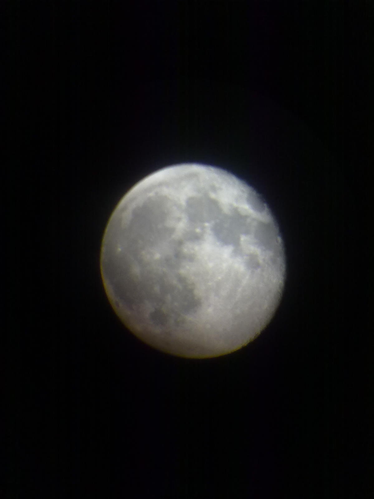 20100629076.jpg
