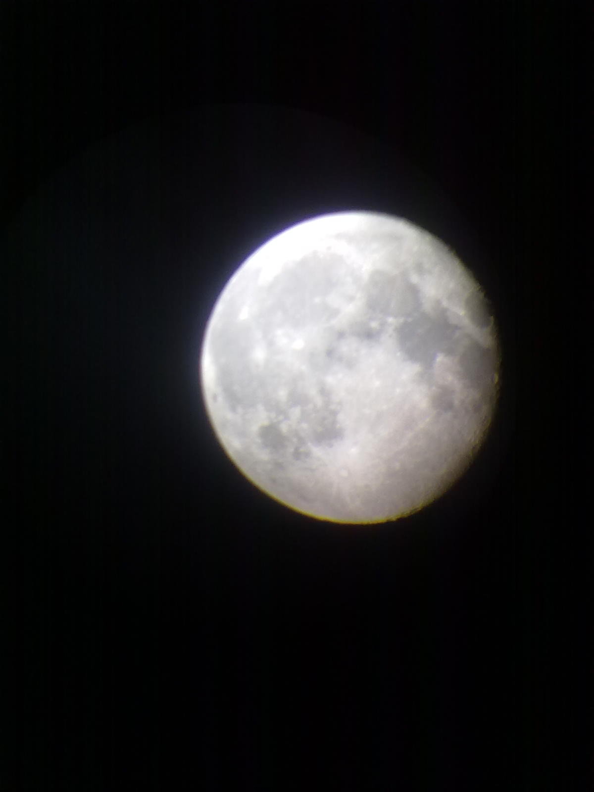 20100629074.jpg