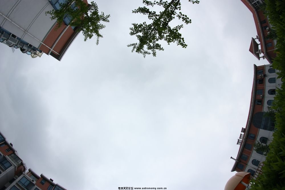 IMG_6601-小.jpg